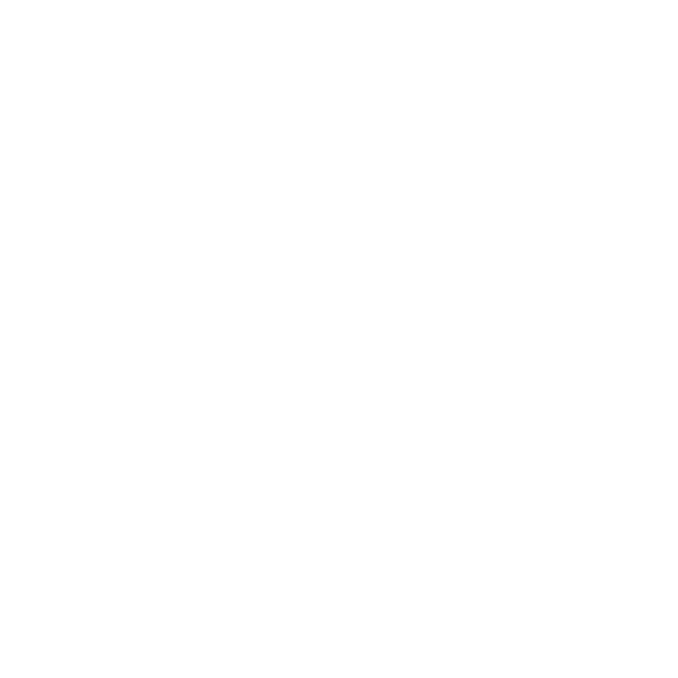 65percent_Champion
