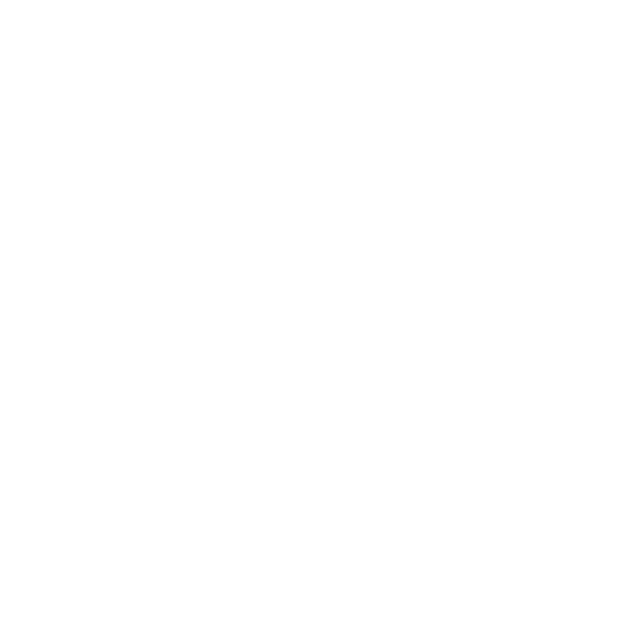 65percent_The North Face