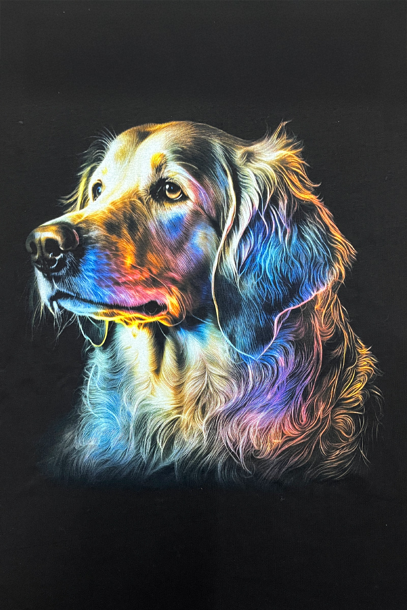 Labrador Print